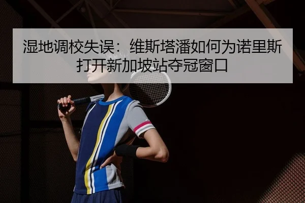湿地调校失误：维斯塔潘如何为诺里斯打开新加坡站夺冠窗口